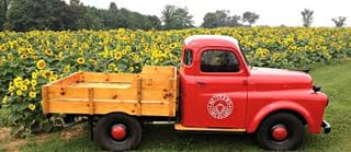 Butler's Orchard