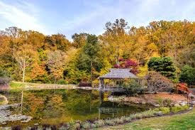 Brookside Gardens