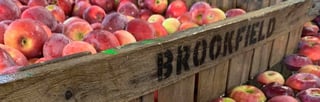 Brookfield Orchards