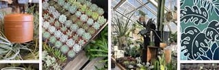 Sage Home Collections