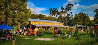 The Collective: Food Yard and Garden