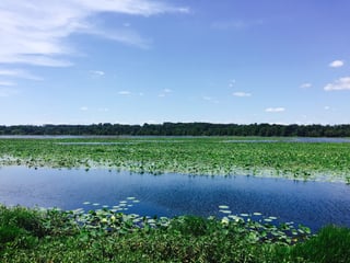 Alligator Lake Park