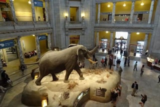 Smithsonian National Museum of Natural History