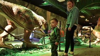 Jurassic Gardens
