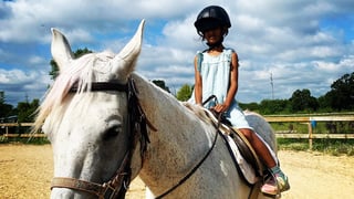 Susanna Farms