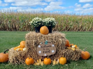 Autumn Acres Corn Maze and Pumpkin Patch