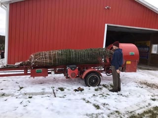 Centennial Pines Tree Farm