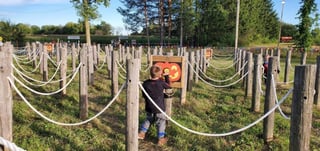 CornFun Corn Maze Adventure And Pumpkin Patch