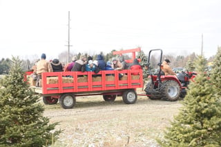 Country Christmas Tree Farm & Gifts