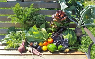 Simpson Family Farm, LLC