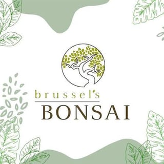 Brussel's Bonsai Nursery, LLC