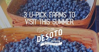 Nesbit Blueberry Plantation