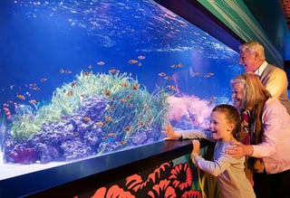 SEA LIFE at Mall of America