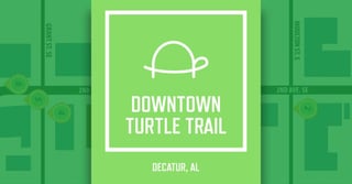 Downtown Turtle Trail