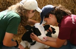 Stoner's Hijos Hill, Inc. Dairy Farm & Corn Maze