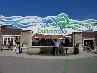 The Buffalo Zoo