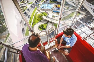 Branson Ferris Wheel