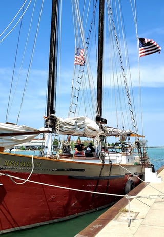 Tall Ship Red Witch