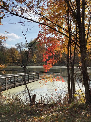 Howell Wetlands