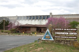 Shepherd of the Hills Fish Hatchery