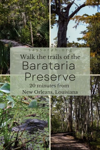 Barataria Preserve
