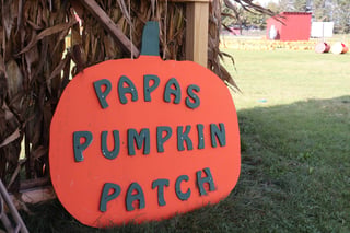 Papas Pumpkin Patch
