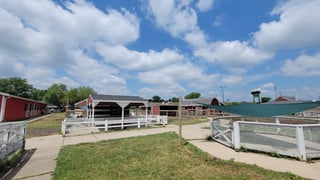 Lambs Farm