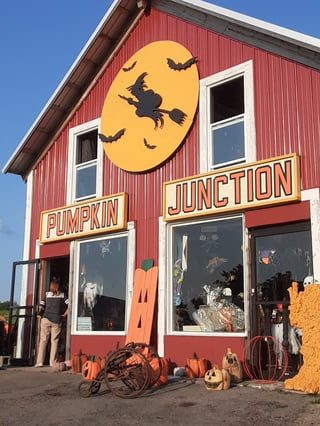 Pumpkin Junction