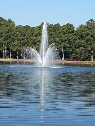 City Lake Park