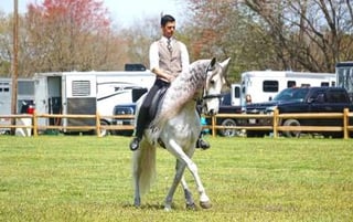 Mexico Farms Equestrian Center