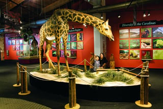 The Imperial Centre for the Arts & Sciences