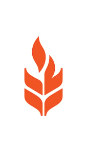 Fireflour Pizzeria & Coffee Bar