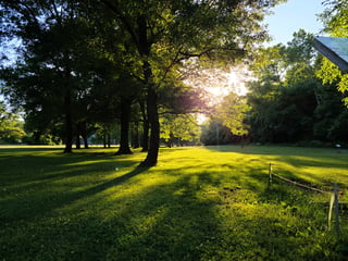 Sunset Park