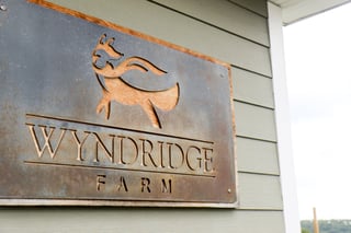 Wyndridge Farm