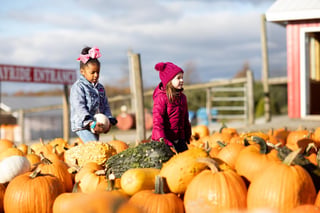 Roba Family Farms