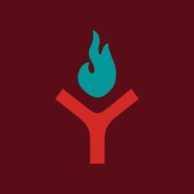 Cayefuego