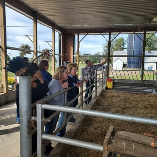 Collins Farm and Creamery