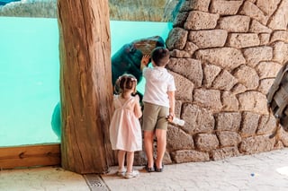 BREC's Baton Rouge Zoo