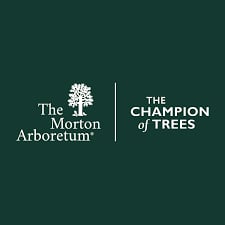 The Morton Arboretum