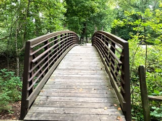 Sycamore Park