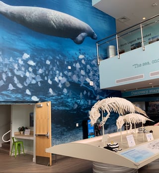 Manatee Lagoon