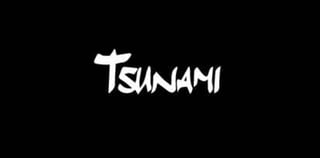 Tsunami of Harbison