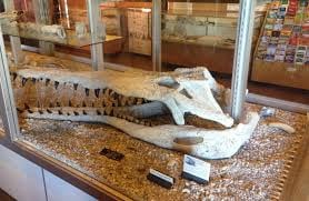 Phosphate Museum