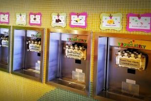Yogurt Story