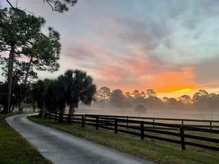 24 Karat Ranch