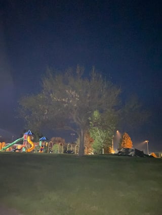Bicentennial Park
