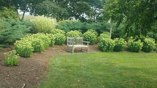 James H McBride Arboretum