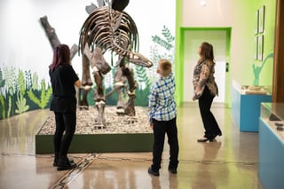 Everhart Museum of Natural History, Science & Art