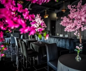 Cliche Tapas and Wine Bar