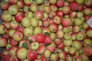 Clinton Cider Mill